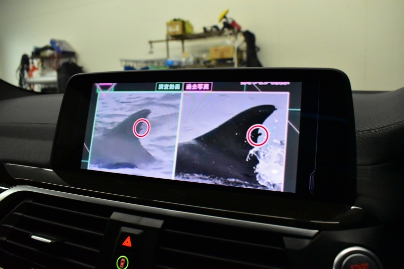 BMW X3 M40d ｾﾚｸﾄ&ﾊｲﾗｲﾝP 326馬力 ﾊﾟﾉﾗﾏｻﾝR 全席ﾋｰﾀｰ付黒革 ﾊｰﾏﾝｶｰﾄﾞﾝ 21AW 追従ACC HUD Mｽﾎﾟｰﾂﾌﾞﾚｰｷ&ﾃﾞﾌ ﾀｯﾁﾊﾟﾈﾙﾅﾋﾞ ﾌﾙｾｸﾞ 全周囲ｶﾒﾗ3Dﾋﾞｭｰ ｱﾀﾞﾌﾟﾃｨﾌﾞLEDﾍｯﾄﾞﾗｲﾄ 電動Rｹﾞｰﾄ ﾜｲﾔﾚｽ充電 液晶ﾒｰﾀｰ 2年保証