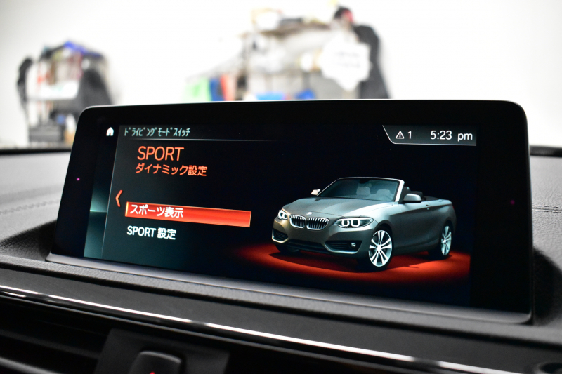 BMW 2シリーズ 220i ｶﾌﾞﾘｵﾚ Mｽﾎﾟｰﾂ LCI後期  1ｵｰﾅｰ 追従ACC  ﾍｷｻｺﾞﾅﾙLEDﾍｯﾄﾞﾗｲﾄ ﾋｰﾀｰ付黒革 ｵﾌﾟｼｮﾝ18AW NEWﾃﾞｻﾞｲﾝﾒｰﾀｰﾊﾟﾈﾙ 衝突軽減ﾌﾞﾚｰｷ 車線逸脱&歩行者警告 ﾀｯﾁﾊﾟﾈﾙHDDﾅﾋﾞ 前後PDC Bｶﾒﾗ Pｱｼｽﾄ 2年保証