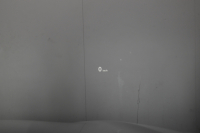 BMW X4 Xﾄﾞﾗｲﾌﾞ35i Mｽﾎﾟｰﾂ 直6ﾀｰﾎﾞ ｻﾝﾙｰﾌ 追従ACC HUD LEDﾍｯﾄﾞﾗｲﾄ ﾋｰﾀｰ付ｱｲﾎﾞﾘｰﾚｻﾞｰ ﾀｯﾁﾊﾟｯﾄﾞiﾄﾞﾗｲﾌﾞHDDﾅﾋﾞ 全周囲ｶﾒﾗ ﾌﾙｾｸﾞ 車線逸脱&歩行者警告 衝突軽減B 電動Rｹﾞｰﾄ 20AW 2年保証