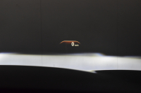 BMW 5シリーズ 530i Mｽﾎﾟｰﾂ 高出力ﾓﾃﾞﾙ ﾃﾞﾋﾞｭｰP ﾊｲﾗｲﾝP 全席ﾋｰﾀｰ付ｱｲﾎﾞﾘｰ革 ｿﾌﾄｸﾛｰｽﾞﾄﾞｱ HUD LEDﾍｯﾄﾞﾗｲﾄ 追従ACC 車線変更警告 Pｱｼｽﾄ 液晶ﾒｰﾀｰ ﾀｯﾁﾊﾟﾈﾙ対応iﾄﾞﾗｲﾌﾞHDDﾅﾋﾞﾌﾙｾｸﾞ ｼﾞｪｽﾁｬｰ 3Dﾋﾞｭｰ Bｶﾒﾗ 電動ﾄﾗﾝｸ 2年保証