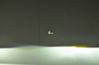 BMW X1 Xdrive20i Xﾗｲﾝ 中期 4WD ﾊｲﾗｲﾝ&ｺﾝﾌｫｰﾄ&ｱﾄﾞﾊﾞﾝｽﾄﾞｱｸﾃｨﾌﾞｾｰﾌﾃｨP 追従ACC HUD ﾋｰﾀｰ付電動黒革 LEDﾍｯﾄﾞﾗｲﾄ 18AW 衝突軽減B ﾀｯﾁﾊﾟﾈﾙﾅﾋﾞ Bｶﾒﾗ 前後PDC Pｱｼｽﾄ 電動Rｹﾞｰﾄ ｽﾏｰﾄｷｰ  2年保証