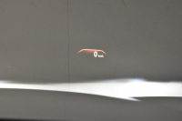 BMW 5シリーズ 530i Mｽﾎﾟｰﾂ 高出力ﾓﾃﾞﾙ ｻﾝﾙｰﾌ ﾃﾞﾋﾞｭｰP 全席ﾋｰﾀｰ付ｱｲﾎﾞﾘｰ革 ｿﾌﾄｸﾛｰｽﾞﾄﾞｱ HUD LEDﾍｯﾄﾞﾗｲﾄ 追従ACC H&Rﾀﾞｳﾝｻｽ LCW 液晶ﾒｰﾀｰ ｼﾞｪｽﾁｬｰ付ﾀｯﾁﾊﾟﾈﾙ対応iﾄﾞﾗｲﾌﾞHDDﾅﾋﾞﾌﾙｾｸﾞ 全周囲ｶﾒﾗ3DﾋﾞｭｰPｱｼｽﾄ 電動ﾄﾗﾝｸ 2年保証