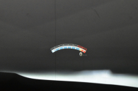 BMW Mシリーズ M4 ｶﾌﾞﾘｵﾚ ｺﾝﾍﾟﾃｨｼｮﾝ 450馬力 LCI後期  1ｵｰﾅｰ ｿﾉﾏﾍﾞｰｼﾞｭﾚｻﾞｰﾒﾘﾉ ﾚｻﾞｰﾀﾞｯｼｭﾎﾞｰﾄﾞ 可変Mｻｽ ﾍｷｻｺﾞﾅﾙLED&ﾃｰﾙ ｴｱｶﾗｰ LCW 専用鍛造20AW ﾀｯﾁﾊﾟﾈﾙﾅﾋﾞBｶﾒﾗ ﾊｰﾏﾝｶｰﾄﾞﾝ 2年保証