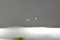 BMW X1 Xdrive20i Mｽﾎﾟｰﾂ 4WD ｱﾄﾞﾊﾞﾝｽﾄﾞｱｸﾃｨﾌﾞｾｰﾌﾃｨP 追従ACC HUD ﾋｰﾀｰ付電動黒革 ﾀｯﾁﾊﾟﾈﾙﾅﾋﾞBｶﾒﾗ Pｱｼｽﾄ前後PDC LEDﾍｯﾄﾞﾗｲﾄ 衝突軽減 車線逸脱&歩行者警告 電動Rｹﾞｰﾄ ﾄﾞﾗﾊﾟﾌｫ 2年保証