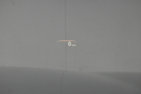 BMW 5シリーズ 540i Xﾄﾞﾗｲﾌﾞ Mｽﾎﾟｰﾂ 4WD 1ｵｰﾅｰ ﾃﾞﾋﾞｭｰ&ﾊｲﾗｲﾝP 全席ﾋｰﾀｰ付黒革 ｿﾌﾄｸﾛｰｽﾞﾄﾞｱ 可変ｻｽ Mｽﾎﾟｰﾂﾌﾞﾚｰｷ LEDﾍｯﾄﾞﾗｲﾄ 液晶ﾒｰﾀｰ ACC HUD LCW ｼﾞｪｽﾁｬｰC対応 ﾀｯﾁﾊﾟﾈﾙﾅﾋﾞ全周囲ｶﾒﾗ 3Dﾋﾞｭｰ ﾌﾙｾｸﾞ 電動ﾄﾗﾝｸ 2年保証