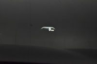 BMW 5シリーズ 530i Mｽﾎﾟｰﾂ 型式変更後ﾓﾃﾞﾙ「JR20」 高出力ﾓﾃﾞﾙ ﾊｲﾗｲﾝP 全席ﾋｰﾀｰ付黒革 HUD LEDﾍｯﾄﾞﾗｲﾄ 追従ACC Mｽﾎﾟｰﾂﾌﾞﾚｰｷ 19AW 全面液晶ﾒｰﾀｰ 車線変更警告 ﾀｯﾁﾊﾟﾈﾙ対応iﾄﾞﾗｲﾌﾞHDDﾅﾋﾞ全周囲ｶﾒﾗ 3Dﾋﾞｭｰ ﾌﾙｾｸﾞ Pｱｼｽﾄﾌﾟﾗｽ 電動ﾄﾗﾝｸ 2年保証