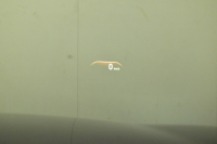 BMW 5シリーズ 530e Mｽﾎﾟｰﾂ iﾊﾟﾌｫｰﾏﾝｽ PHEV 1ｵｰﾅｰ ｺﾝﾌｫｰﾄ＆ﾊｲﾗｲﾝP 全席ﾋｰﾀｰ付白革 HUD ｼﾞｪｽﾁｬｰｺﾝﾄﾛｰﾙ付ﾀｯﾁﾊﾟﾈﾙﾅﾋﾞ4ｿﾞｰﾝAC 全周囲ｶﾒﾗ ﾌﾙｾｸﾞTV LEDﾍｯﾄﾞﾗｲﾄ 液晶ﾒｰﾀｰ ACC LCW ﾊﾟｰｷﾝｸﾞｱｼｽﾄ 電動ﾄﾗﾝｸ 2年保証