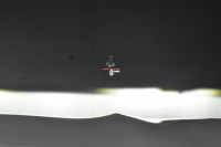 BMW X3 Xﾄﾞﾗｲﾌﾞ20d Mｽﾎﾟｰﾂ ｾﾚｸﾄ&ﾊｲﾗｲﾝP ﾊﾟﾉﾗﾏｻﾝR 型式変更後ﾓﾃﾞﾙ(UZ20) harman/kardon ﾗｲﾌﾞｺｯｸﾋﾟｯﾄ  20AW LEDﾍｯﾄﾞﾗｲﾄ ACC HUD 前席ﾍﾞﾝﾁﾚｰｼｮﾝ&全席ﾋｰﾀｰ付茶革 LCW ﾀｯﾁﾊﾟﾈﾙﾅﾋﾞ  電動Rｹﾞｰﾄ ﾜｲﾔﾚｽ充電  2年保証