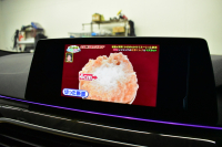BMW 5シリーズ 523iﾂｰﾘﾝｸﾞ Mｽﾎﾟｰﾂ ﾊｲﾗｲﾝ 全席ﾋｰﾀｰ付ｷｬﾝﾍﾞﾗﾍﾞｰｼﾞｭﾚｻﾞｰ  追従ACC HUD ｱﾀﾞﾌﾟﾃｨﾌﾞLEDﾍｯﾄﾞﾗｲﾄ ﾀｯﾁﾊﾟﾈﾙHDDﾅﾋﾞ 全周囲ｶﾒﾗ3Dﾋﾞｭｰ Pｱｼｽﾄ 衝突軽減ﾌﾞﾚｰｷ 車線変更&逸脱&歩行者警告 液晶ﾒｰﾀｰ  19AW 2年保証
