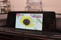 BMW Mシリーズ M4ｸｰﾍﾟ後期 MDCT ｱﾀﾞﾌﾟﾃｨﾌﾞMｻｽ ｱﾀﾞﾌﾟﾃｨﾌﾞﾍｷｻｺﾞﾅﾙLEDﾍｯﾄﾞﾗｲﾄ ﾋｰﾀｰ付黒革 ｶｰﾎﾞﾝﾙｰﾌ&ｲﾝﾃﾘｱ ﾀｯﾁﾊﾟﾈﾙﾅﾋﾞﾌﾙｾｸﾞBｶﾒﾗ前後PDC HUD 7速DCT ｵﾌﾟｼｮﾝ19AW 衝突軽減ﾌﾞﾚｰｷ 車線変更&車線逸脱&歩行者警告 2年保証