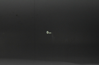 BMW X1 Xdrive18d Xﾗｲﾝ 4WD ﾊｲﾗｲﾝ&ｺﾝﾌｫｰﾄP ｱﾄﾞﾊﾞﾝｽﾄﾞｱｸﾃｨﾌﾞｾｰﾌﾃｨP 追従ACC HUD ﾋｰﾀｰ付電動黒革 ﾀｯﾁﾊﾟﾈﾙiﾄﾞﾗｲﾌﾞﾅﾋﾞ LEDﾍｯﾄﾞﾗｲﾄ 衝突軽減B 車線逸脱&歩行者警告  Bｶﾒﾗ Pｱｼｽﾄ 前後PDC 電動ﾄﾗﾝｸ  ｽﾏｰﾄｷｰ Bluetoothｵｰﾃﾞｨｵ＆通話 2年保証