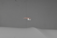 BMW 7シリーズ 740d XDrive ｴｸﾞｾﾞｸﾃｨﾌﾞ ｻﾝﾙｰﾌ BMWﾚｰｻﾞｰLED 4WD ﾘﾓｰﾄP 前席ﾏｯｻｰｼﾞ＆ﾍﾞﾝﾁﾚｰｼｮﾝ 全席ﾋｰﾀｰ付黒革 ACC HUD ﾊｰﾏﾝｶｰﾄﾞﾝ  ｼﾞｪｽﾁｬｰｺﾝﾄﾛｰﾙ対応ﾀｯﾁﾊﾟﾈﾙﾅﾋﾞ3Dﾋﾞｭｰ LCW 液晶ﾒｰﾀｰ 19AW 電動ﾄﾗﾝｸ 2年保証