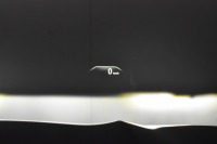 BMW X3 M40d ｾﾚｸﾄﾊﾟｯｹｰｼﾞ ﾊｲﾗｲﾝ 326馬力 ﾊﾟﾉﾗﾏｻﾝﾙｰﾌ 全席ﾋｰﾀｰ付黒革 ﾊｰﾏﾝｶｰﾄﾞﾝ ｵﾌﾟｼｮﾝ21AW 追従ACC HUD ｽﾃｱﾘﾝｸﾞｻﾎﾟｰﾄ ﾀｯﾁﾊﾟﾈﾙﾅﾋﾞTV 360度ｶﾒﾗ3Dﾋﾞｭｰ LEDﾍｯﾄﾞﾗｲﾄ 電動ﾄﾗﾝｸ ﾜｲﾔﾚｽ充電 液晶ﾒｰﾀｰ 2年保証